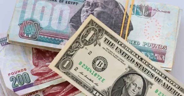 الجنيه المصري يرتفع أمام الدولار متجاهلاً خروج الأموال الساخنة