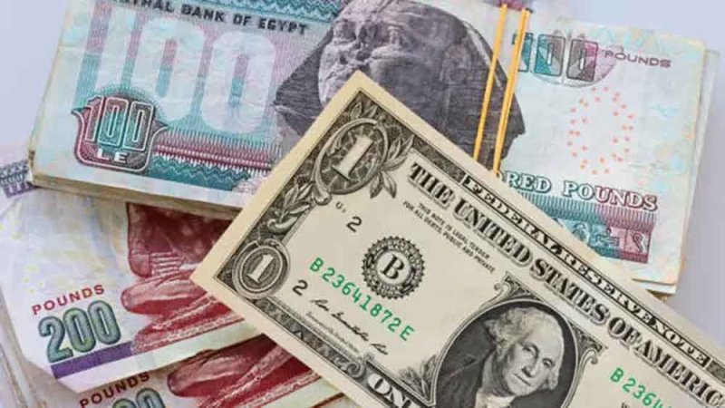 الجنيه المصري يرتفع أمام الدولار متجاهلاً خروج الأموال الساخنة