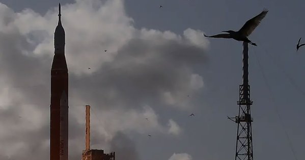 انطلاق أربعة رواد فضاء نحو القمر.. لأول مرة منذ نصف قرن 