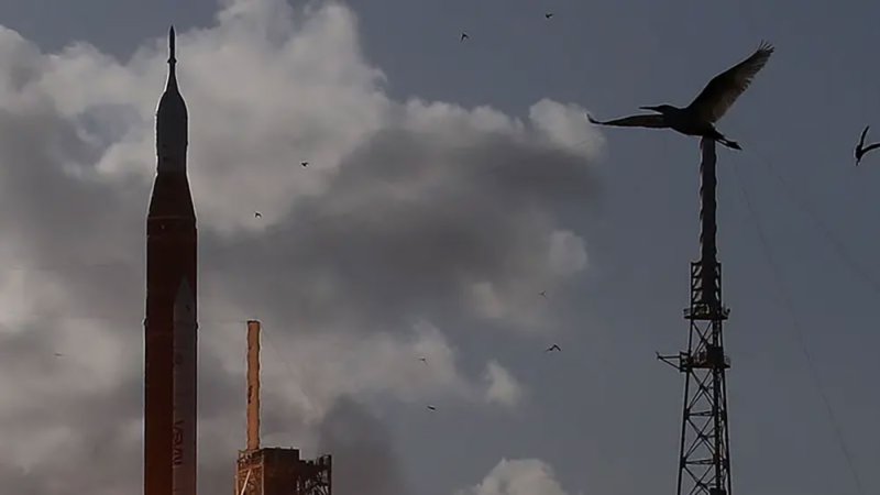 انطلاق أربعة رواد فضاء نحو القمر.. لأول مرة منذ نصف قرن