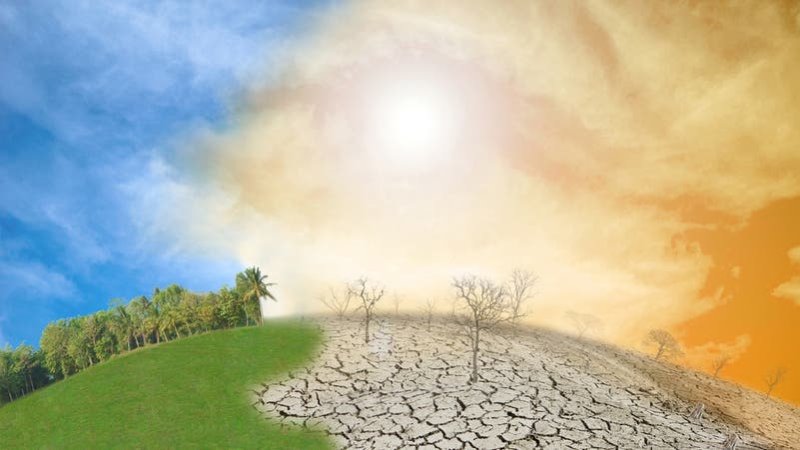 من الحرب إلى النينيو.. تهديد جديد للأمن الغذائي العالمي