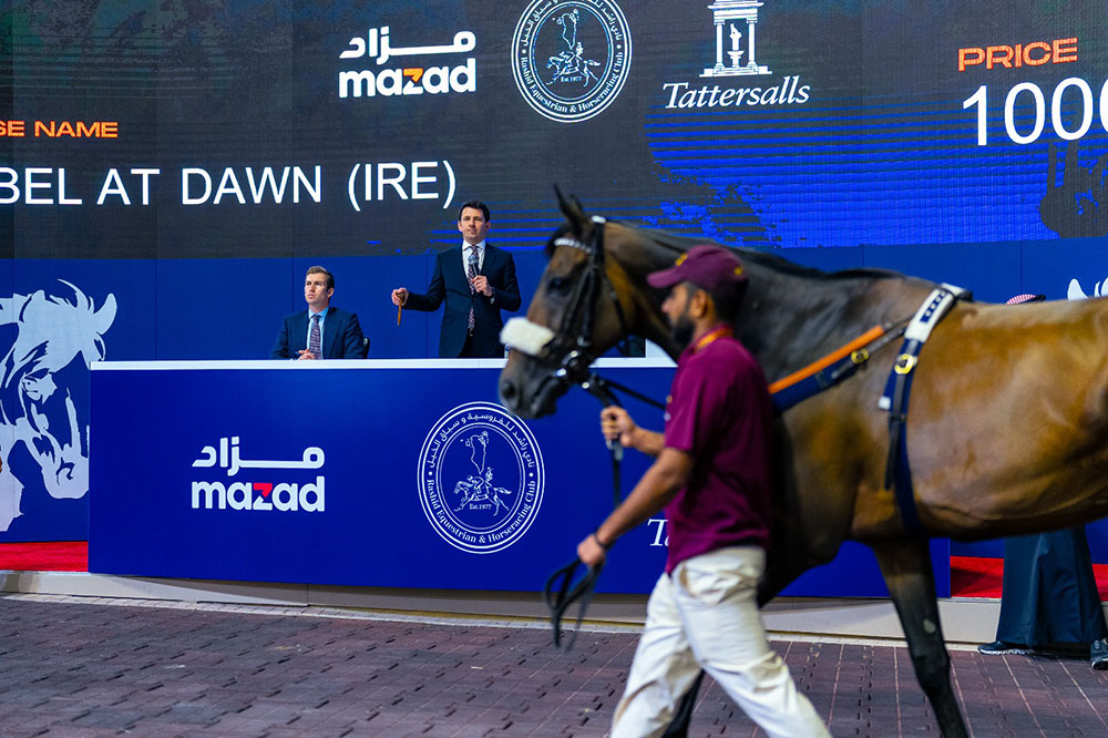 جريدة البلاد | نادي راشد للفروسية وسباق الخيل يعلن عن إقامة مزاد الجياد افتراضياً لأول مرة في مملكة البحرين