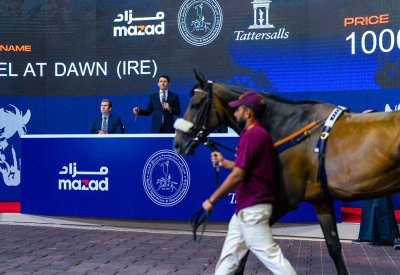نادي راشد للفروسية وسباق الخيل يعلن عن إقامة مزاد الجياد افتراضياً لأول مرة في مملكة البحرين