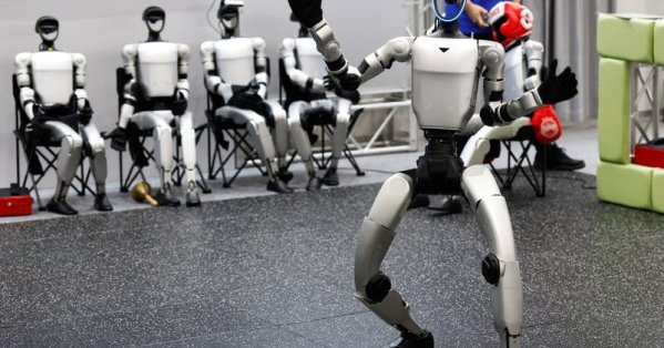 فيديو غريب: روبوت بشري يطارد قطيع خنازير برية في بولندا