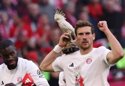لماذا احتفل بايرن ميونخ بلقب الدوري الألماني مع ببغاء مسروق؟