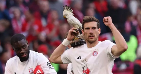 لماذا احتفل بايرن ميونخ بلقب الدوري الألماني مع ببغاء مسروق؟