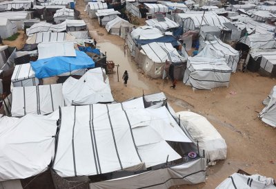 القوارض والحشرات تفاقم معاناة النازحين في غزة