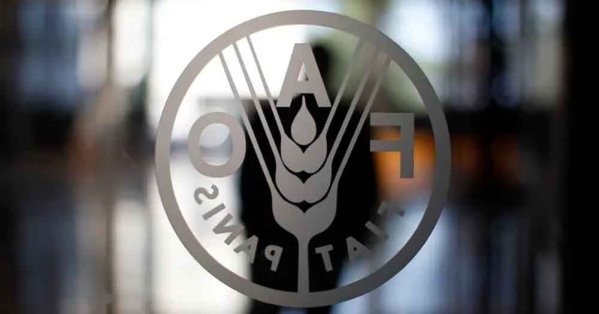 الأمم المتحدة تحذّر من انزلاق ملايين اليمنيين نحو المجاعة قريباً