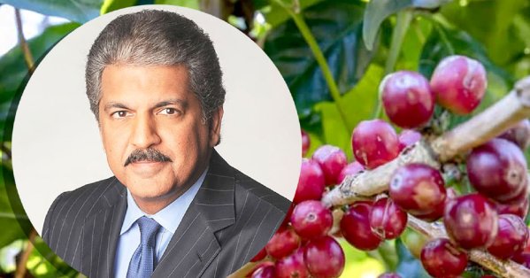 أناند ماهيندرا: بين إرث مزارع القهوة العائلية وقيادة “أراكو” نحو العالمية