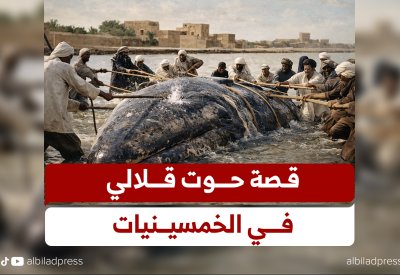 قصة حوت قلالي في الخمسينيات