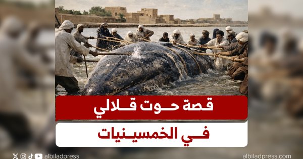 قصة حوت قلالي في الخمسينيات