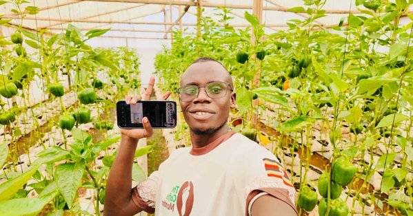 الدفع عبر الهاتف يغير حياة المزارعين في أفريقيا