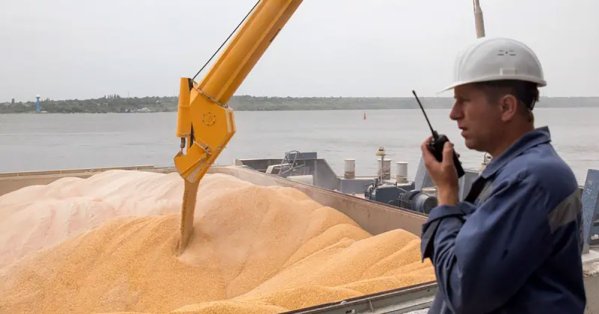 السعودية ترسي مناقصة توريد 985 ألف طن من القمح