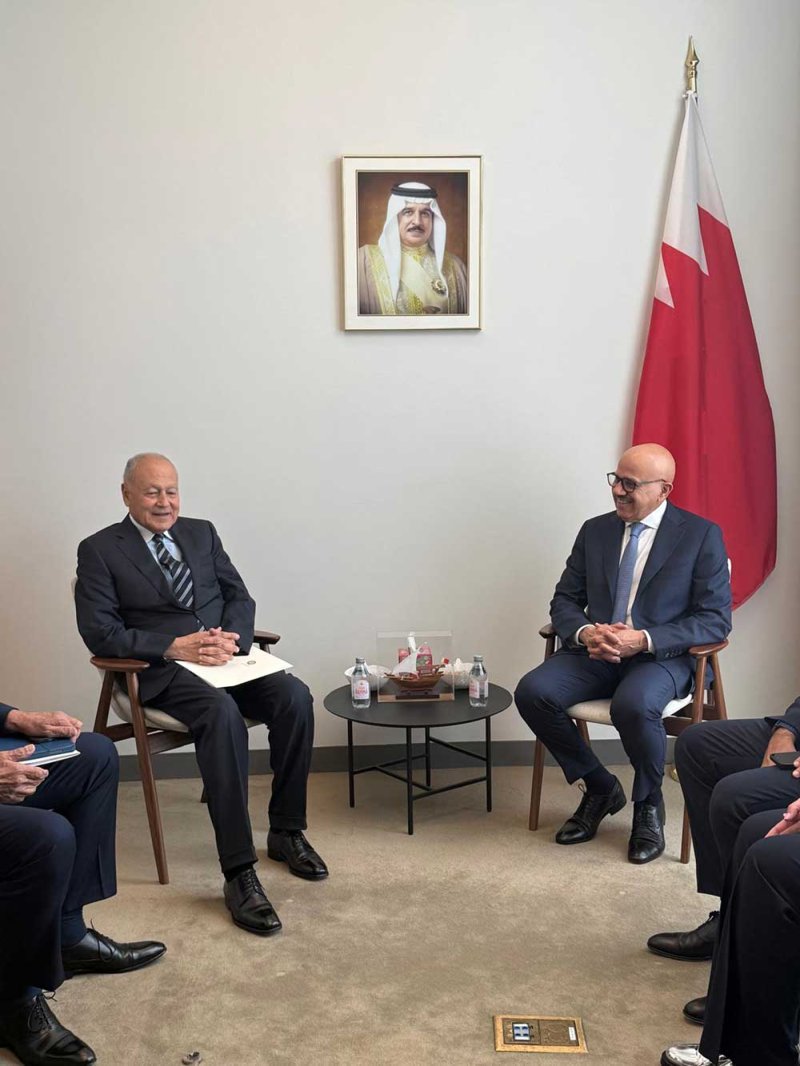 وزير الخارجية يبحث تداعيات الاعتداءات الإيرانية الآثمة مع أمين عام جامعة الدول العربية