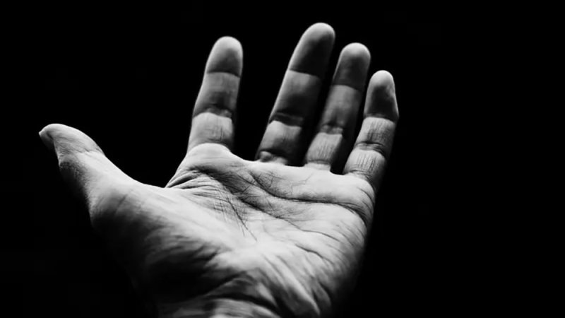 ترند "قراءة الكف" يشعل التواصل.. "خطأ قد يكلفك غالياً جداً"