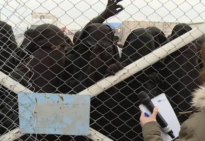 أستراليا: اعتقال نساء على صلة بتنظيم داعش لدى عودتهن من سوريا