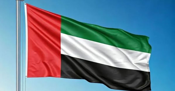 الدفاع الإماراتية: تصدينا لصواريخ ومسيّرات إيرانية 