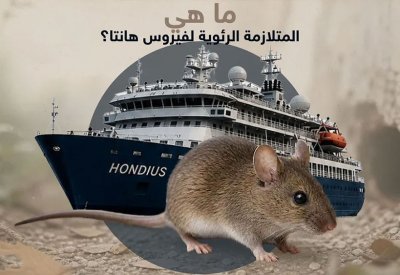 مركز: كل ركاب سفينة "هانتا" مخالطون معرضون لخطر كبير