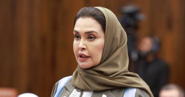 الفاضل: الجنسية ملف سيادي يرتبط بأمن الدولة واستقرارها