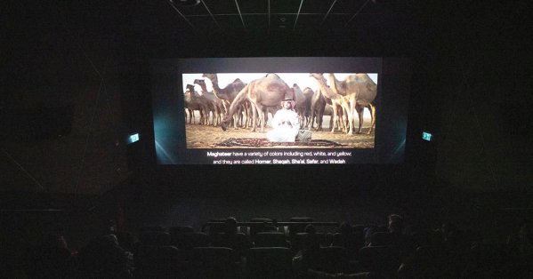 أفلام (إثراء) تجوب 154 مهرجانًا سينمائيًا عالميًا وتحصد 60 جائزة دولية