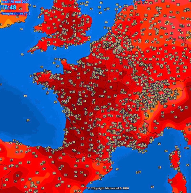 موجة حر قياسية تضرب أوروبا وترفع درجات الحرارة إلى مستويات غير مسبوقة
