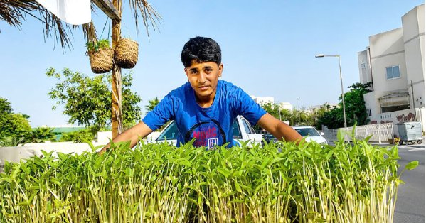 “الحية بية”.. ذاكرة خضراء تستقر في بحار البحرين