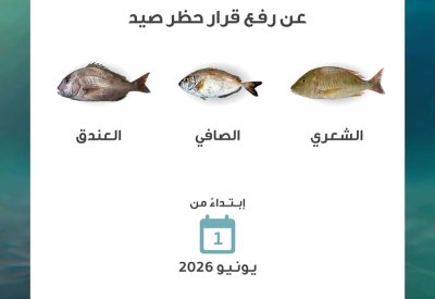 "الأعلى للبيئة": عودة صيد الشعري والصافي والعندق مطلع يونيو المقبل