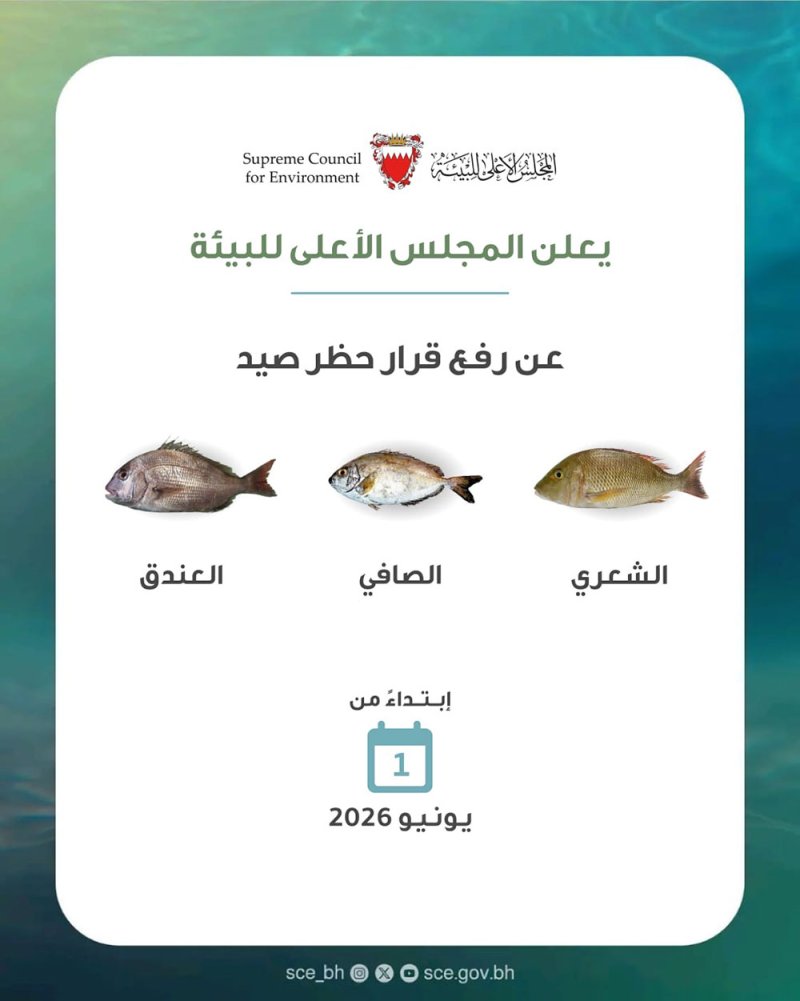 "الأعلى للبيئة": عودة صيد الشعري والصافي والعندق مطلع يونيو المقبل