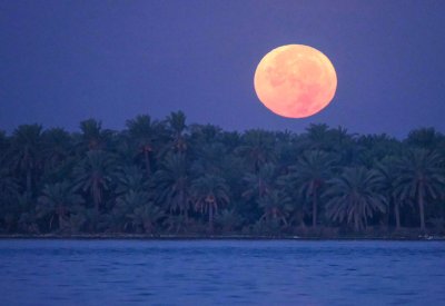 “القمر الأزرق القزم” يزين سماء البحرين الأحد المقبل