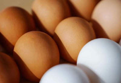 خبراء يفندون الخرافة.. أيهما أفضل البيض الأبيض أم البني؟