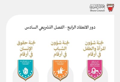 لجان المرأة والشباب وحقوق الإنسان بـ«الشورى» تنجز 14 اجتماعًا خلال دور الانعقاد الرابع