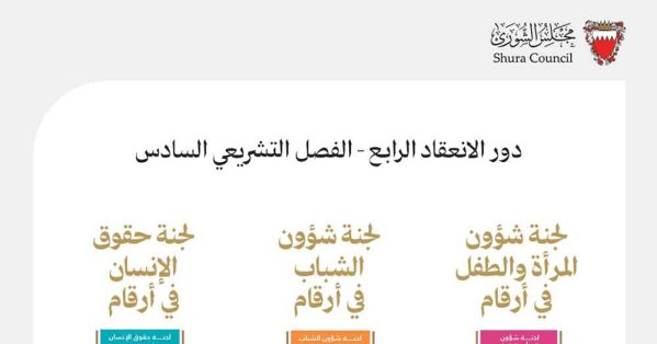 لجان المرأة والشباب وحقوق الإنسان بـ«الشورى» تنجز 14 اجتماعً