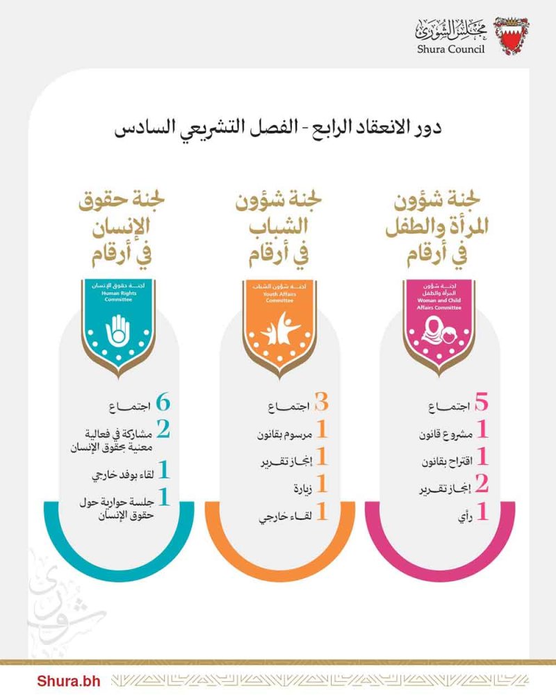 لجان المرأة والشباب وحقوق الإنسان بـ«الشورى» تنجز 14 اجتماعًا خلال دور الانعقاد الرابع