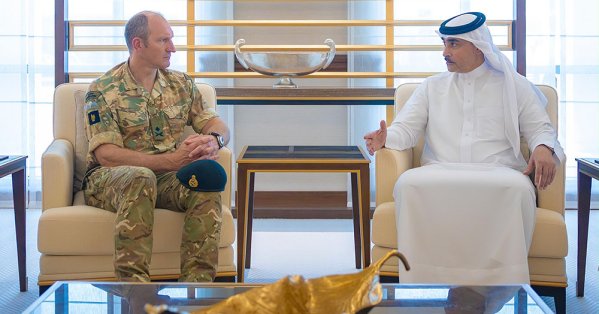 نائب مستشار الأمن الوطني نائب الأمين العام لمجلس الدفاع الأع