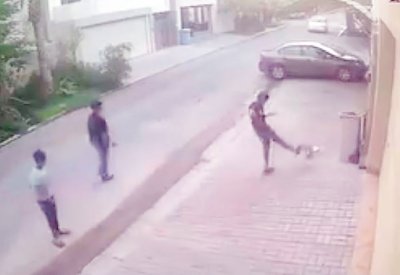 بلاغان جديدان بعد تعنيف قط وحمار