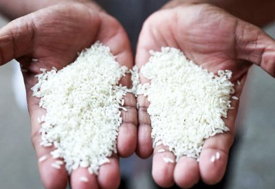 اضطرابات غرب آسيا تضرب  صادرات الأرز البسمتي الهندي