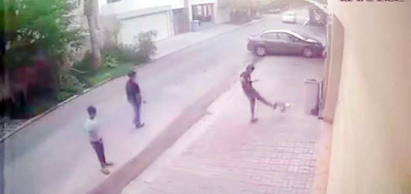 بلاغان جديدان بعد تعنيف قط وحمار
