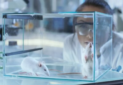 "الدفاع" الألمانية تتوقع زيادة الأبحاث العسكرية على الحيوانات بحلول 2029