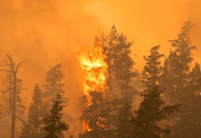 "السوبر إل نينيو" مخاطر مناخية جديدة تقلق المستثمرين عالمياً