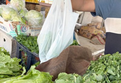 جولة ميدانية لـ “البلاد”: لا التزام بحظر الأكياس البلاستيكية الرقيقة بـ “الفرشات” والبرادات
