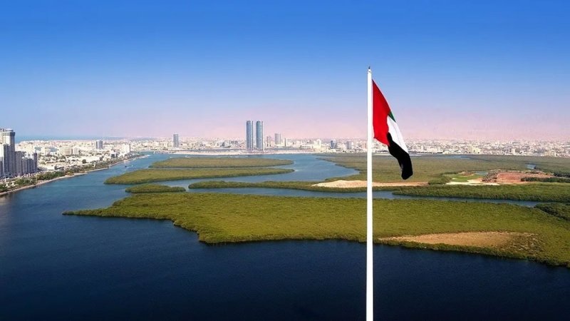 نمو القطاع الخاص غير النفطي في الإمارات يهبط لأدنى مستوى في 5 سنوات