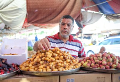 الرطب البحريني.. نكهة تصنعها ملوحة الماء