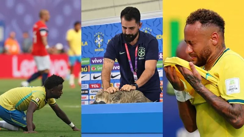 أطلقوا عليها "هيكسا" فجاءت النكسة.. لعنة القطة تطارد منتخب البرازيل
