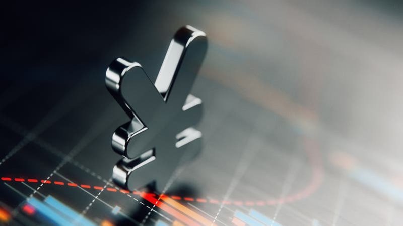 اليابان تدعو صناديق التقاعد للاستثمار في الأصول المالية المحلية لدعم الين
