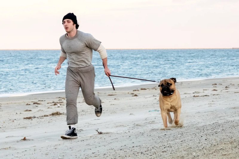 "I Play Rocky" يستعرض رحلة سيلفستر ستالون