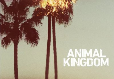 كيف تحوّل مسلسل Animal Kingdom إلى جوهرة الجريمة المفقودة على نتفليكس؟