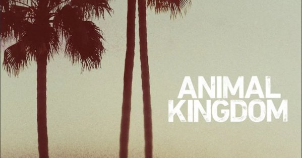 كيف تحوّل مسلسل Animal Kingdom إلى جوهرة الجريمة المفقودة على نتفليكس؟