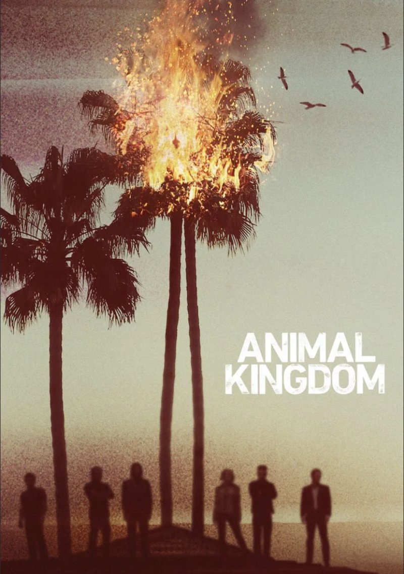 كيف تحوّل مسلسل Animal Kingdom إلى جوهرة الجريمة المفقودة على نتفليكس؟