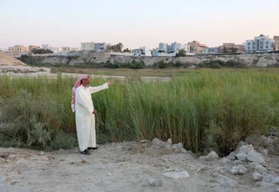 الأسماك الصغيرة  تنظف أقدام زوار وادي البحير