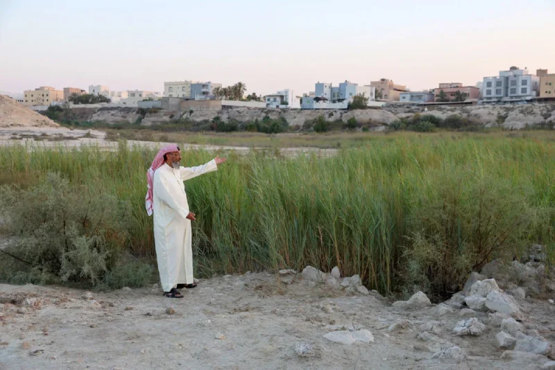 الأسماك الصغيرة  تنظف أقدام زوار وادي البحير